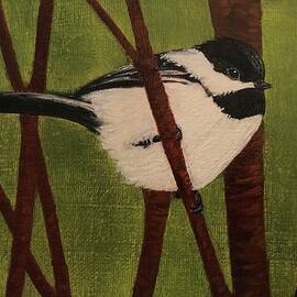 Black Capped Chickadee  by Martha Arnold