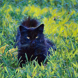 Black Cat Resting in Grass Artsy Style by Gaby Ethington