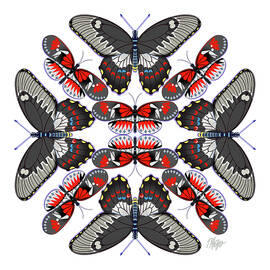 Black Gray Red Butterfly Mandala by Tim Phelps