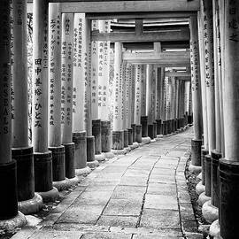 Black Japan Collection - Between Torii by Philippe HUGONNARD