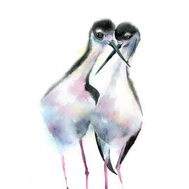 Black-necked stilt  by Olga Tchefranov