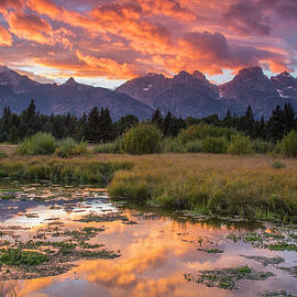 Blacktail Deer Ponds by Arnie Gidlow