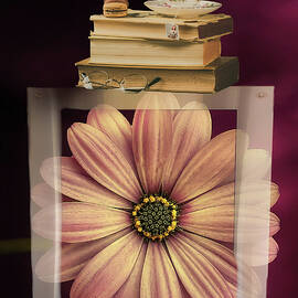 Blooming Bibliophilia by W Craig Photography