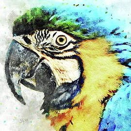 Blue and Yellow Macaw Watercolor Parrot-Bird Painting  by Shelli Fitzpatrick