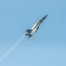 Blue Angels - 19 by Rick Allen
