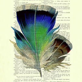 Blue bird feather on a french book page