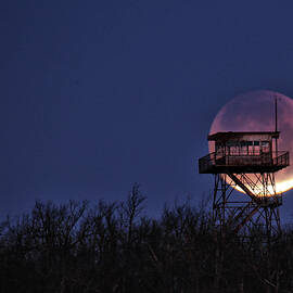 Blue Blood Super Eclipse Moon - Queen Wilhelmina State Park  by William Rainey