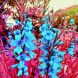 Blue Blooms by Designs By Nimros