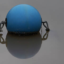 Blue Buoy by Stuart Allen