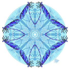 Blue Damselfly Pond Nature Mandala by Tim Phelps