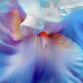 Blue Fantasy Iris Flower by Jennie Marie Schell