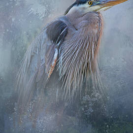 Blue Heron Portrait  by HH Photography of Florida