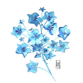Blue Ivy