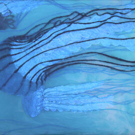 Blue Jellyfish by Angela Brunson