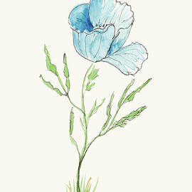 Blue Poppy Sketch by Conni Schaftenaar
