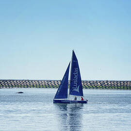 Blue Sails in the Sunshine by Lynn Bolt