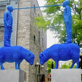 Blue Sheep by Stephanie Moore