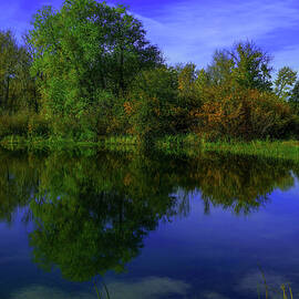 Blue sky and trees reflected in still water by Jeff Swan