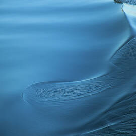 Blue Water Dance by Karol Livote