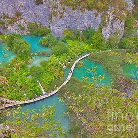 Blue Waters of Plitvice Lakes in Croatia 05 by Amalia Suruceanu