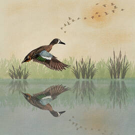 Blue-winged Teal Watercolor Reflection by Patti Deters