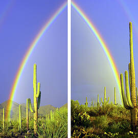 Both Ends Of The Rainbow, Diptych by Douglas Taylor