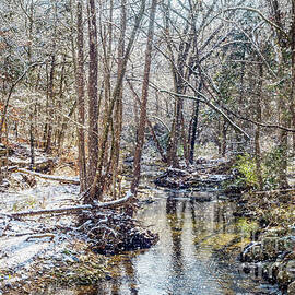 Branson Fall Creek Winter Snow by Jennifer White