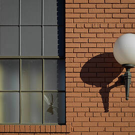 Brick Wall with Lamp and Cracked Window by David Sams