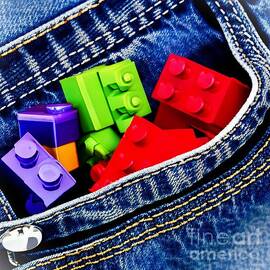 Bricks in My Pocket by Dr Debra Stewart