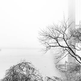 Bridge in the fog by Sean Sweeney