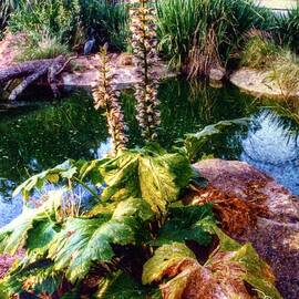 Brilliant Garden by Ann Pride