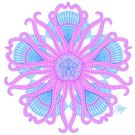 Brittle Star Scallop Nature Mandala by Tim Phelps