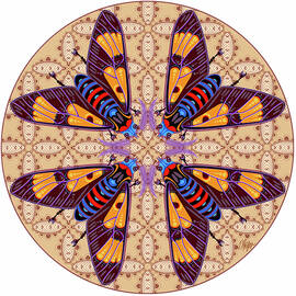 Brown Paisley Painted Wasp Moth by Tim Phelps