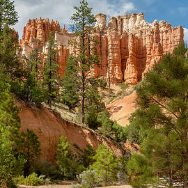 Bryce Canyon Landscape 05 by Her Arts Desire