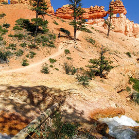 Bryce Canyon Landscape 07 by Her Arts Desire