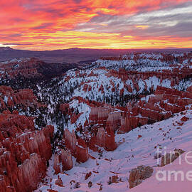 Bryce Canyon National Park at Sunrise in Winter by Tom Schwabel