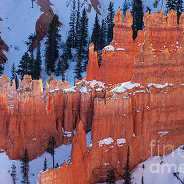 Bryce Canyon Snowscape Three by Bob Phillips