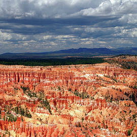 Bryce Canyon, Summer by Douglas Taylor