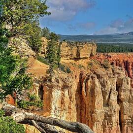 Bryce Overlook by Michael R Anderson