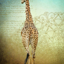 Bull Giraffe by Rebecca Herranen