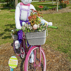 Bunny Biking by Sally Weigand