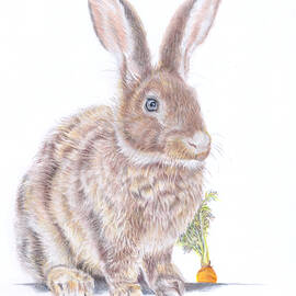 Bunny Rabbit Big Ears by Debra Hall