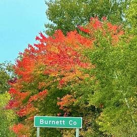 Burnett Co. Blazing Maples by Charlene Adler