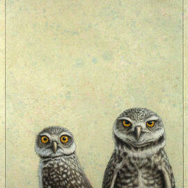 Burrowing Owls