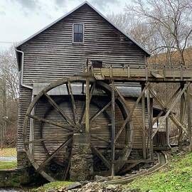 Bush mill by Dwight Cook
