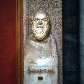 Bust of Socrates by Bob Phillips