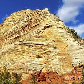 Butte Formations  by LaDonna McCray