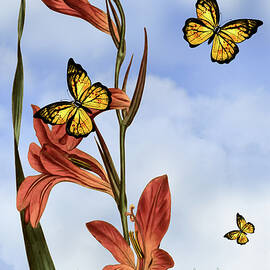 Butterflies In The Garden Pane 3 Round Seeded Cornflag Flower