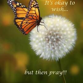 Butterfly and Dandelion- with motivational quote