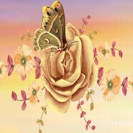 Butterfly on a Rose by Belinda Threeths
